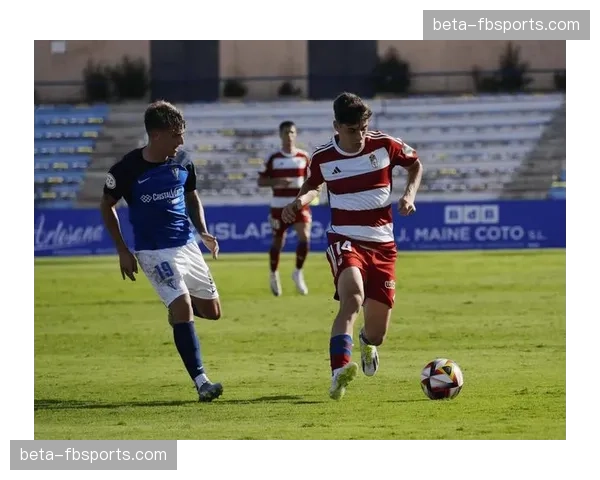 奥萨苏纳进攻组织耗时平均12.5秒，比赛节奏控制偏向缓慢